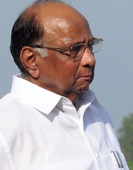 Maha polls: NCP won't form alliance with BJP, says Pawar